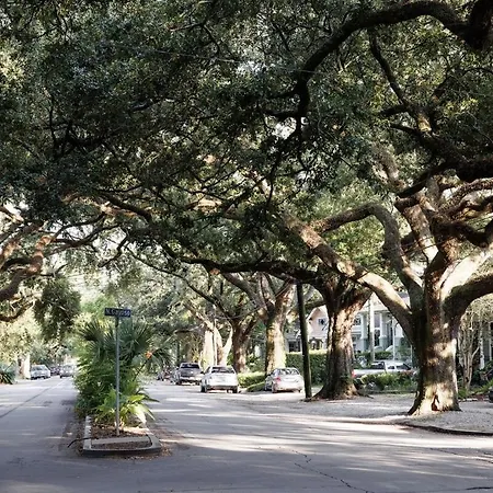 Cozy In Bayou St John * New Orleans