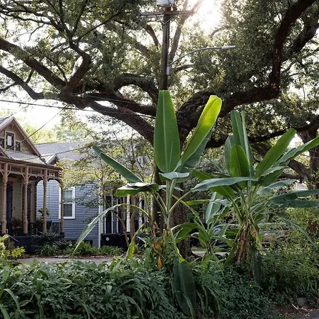 Cozy In Bayou St John * New Orleans