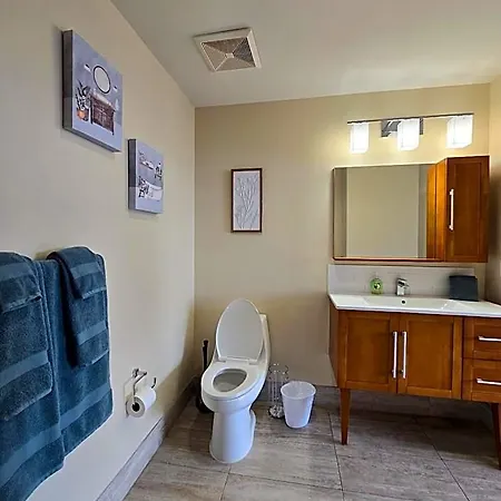 Hotel Beautiful Walk To French Quarter, Pool, Gym, View 3*