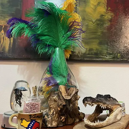 Steps Into The French Quarter Apartment *