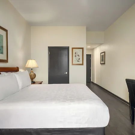 Inn Le Richelieu In The French Quarter