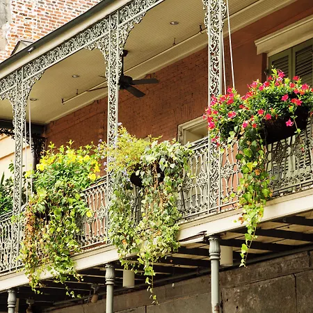Indigo - French Quarter By Ihg Hotel 3*