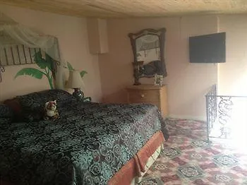 Hotel The Olivier House 3*