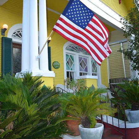 Bed & Breakfast Auld Sweet Olive