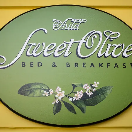 Auld Sweet Olive