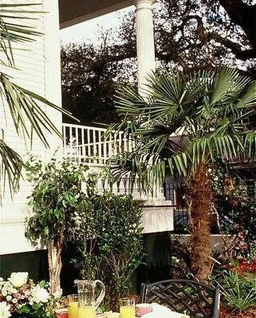 The Queen Anne Bed & Breakfast