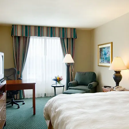 Hotel Hilton Garden French Quarter/cbd New Orleans