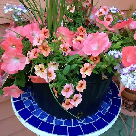 Bed & Breakfast La Dauphine