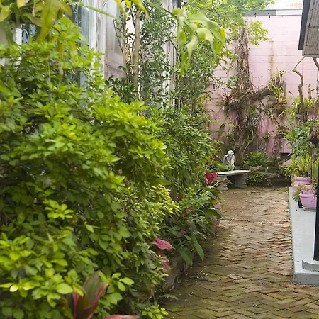 New Orleans Guest House 3* New Orleans