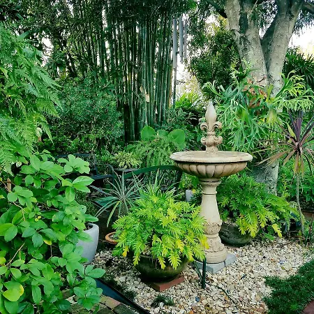Lions Bed & Breakfast 3*