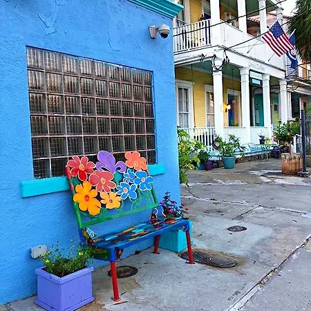 Creole Gardens And New Orleans