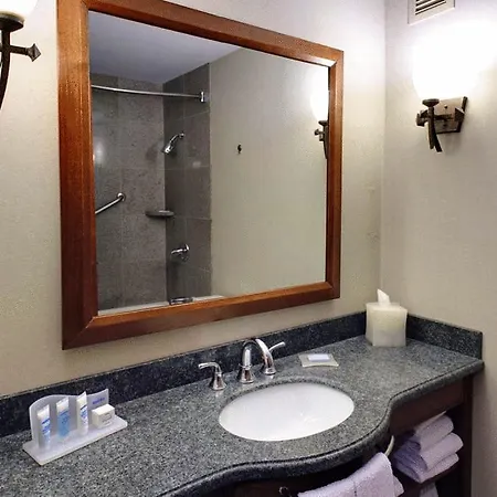 Wyndham Garden New Orleans Downtown Hotel 3*