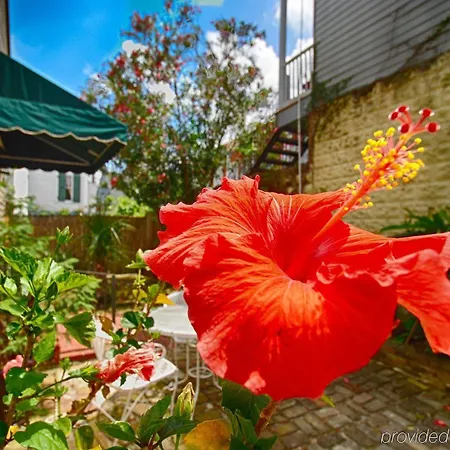 Lamothe House A French Quarter Hotel 4*