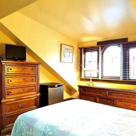 Hotel Lion's 3*
