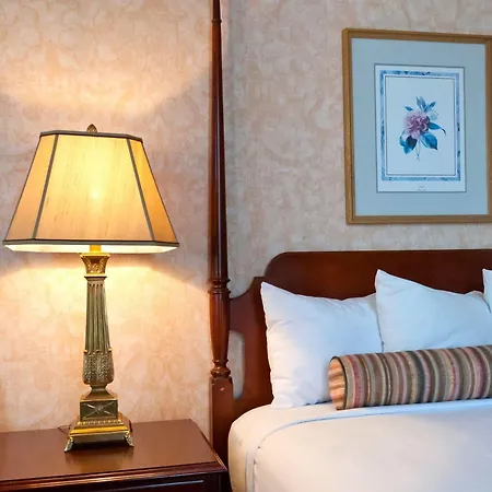 Hotel Conti