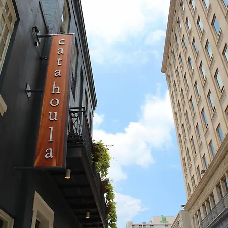 Catahoula New Orleans