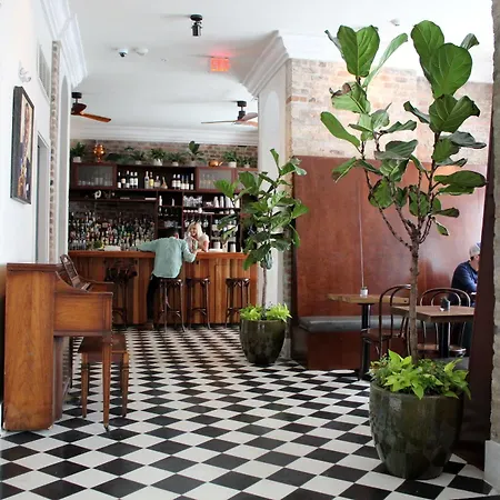 Catahoula New Orleans