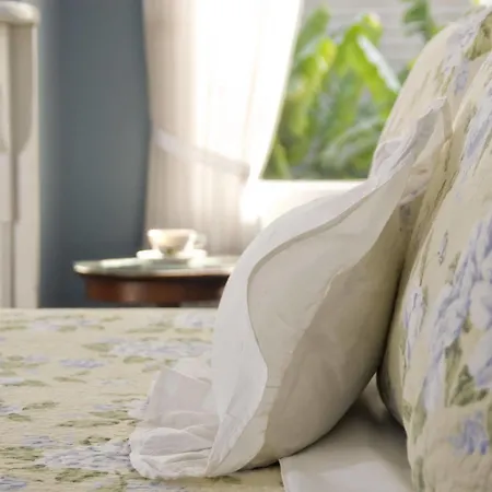 Bed & Breakfast Southern Comfort New Orleans