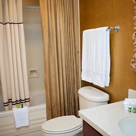 Hotel Quarter House