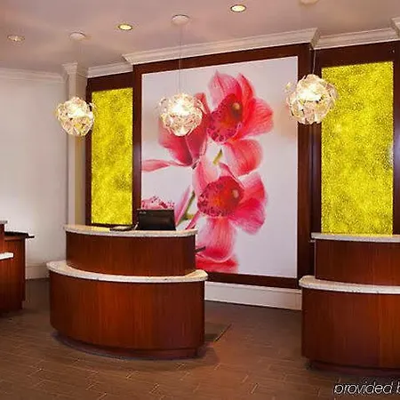 Courtyard By Marriott French Quarter/iberville Hotel New Orleans