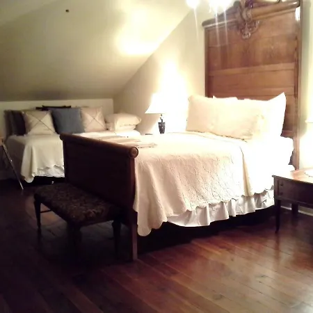Edgar Degas House Historic And Museum Bed & Breakfast