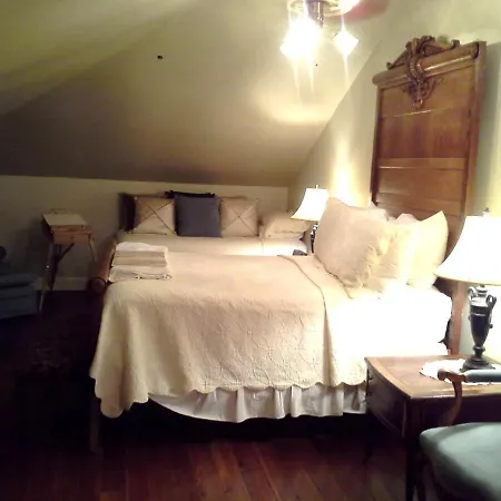 Bed & Breakfast Edgar Degas House Historic And Museum