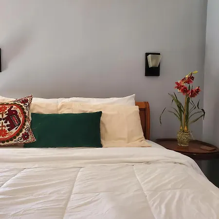 Macarty House, A Bohemian With Pool And Bar Holiday home *