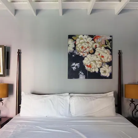 Macarty House, A Bohemian With Pool And Bar * New Orleans