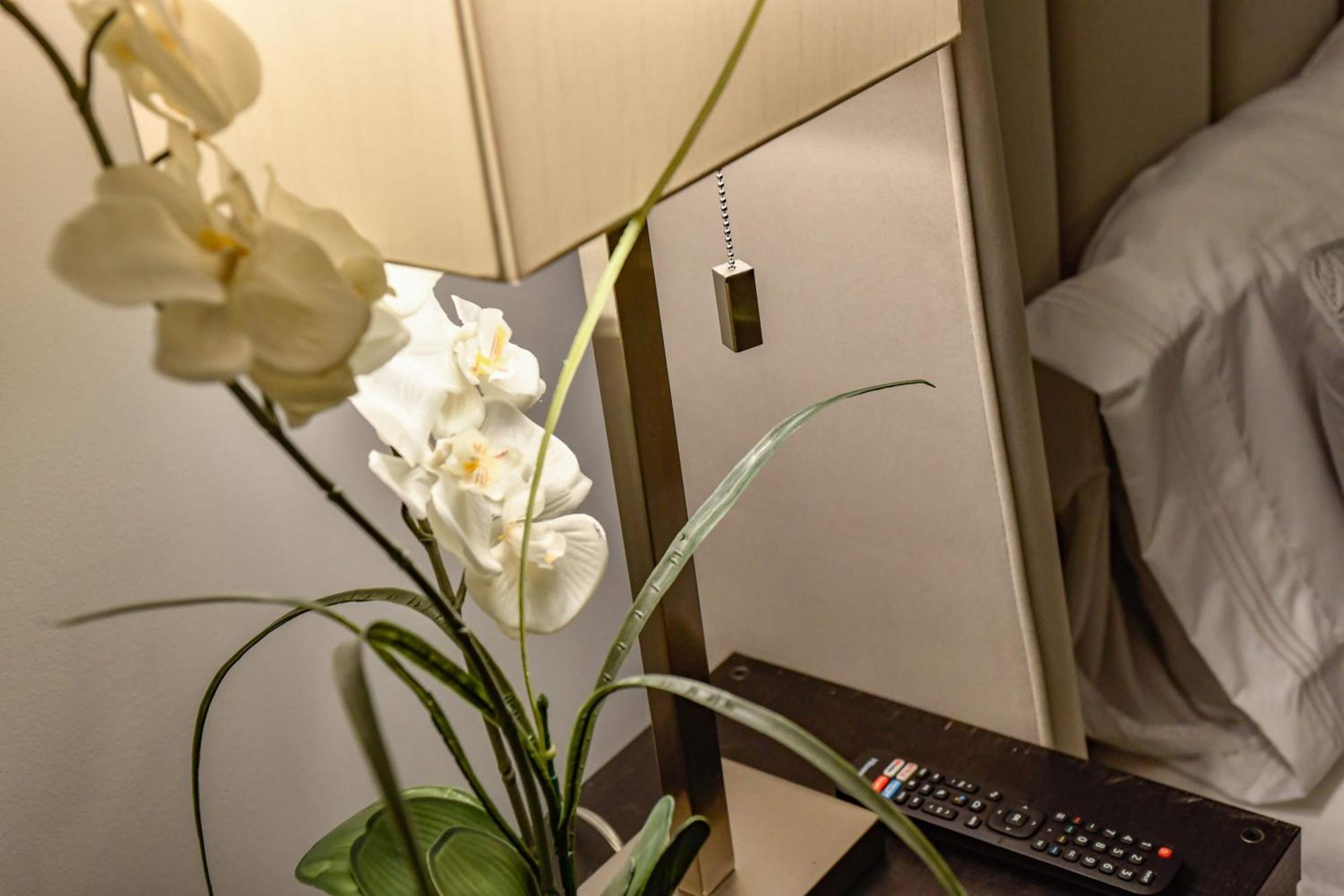 French Quarter Delight 12 New Orleans