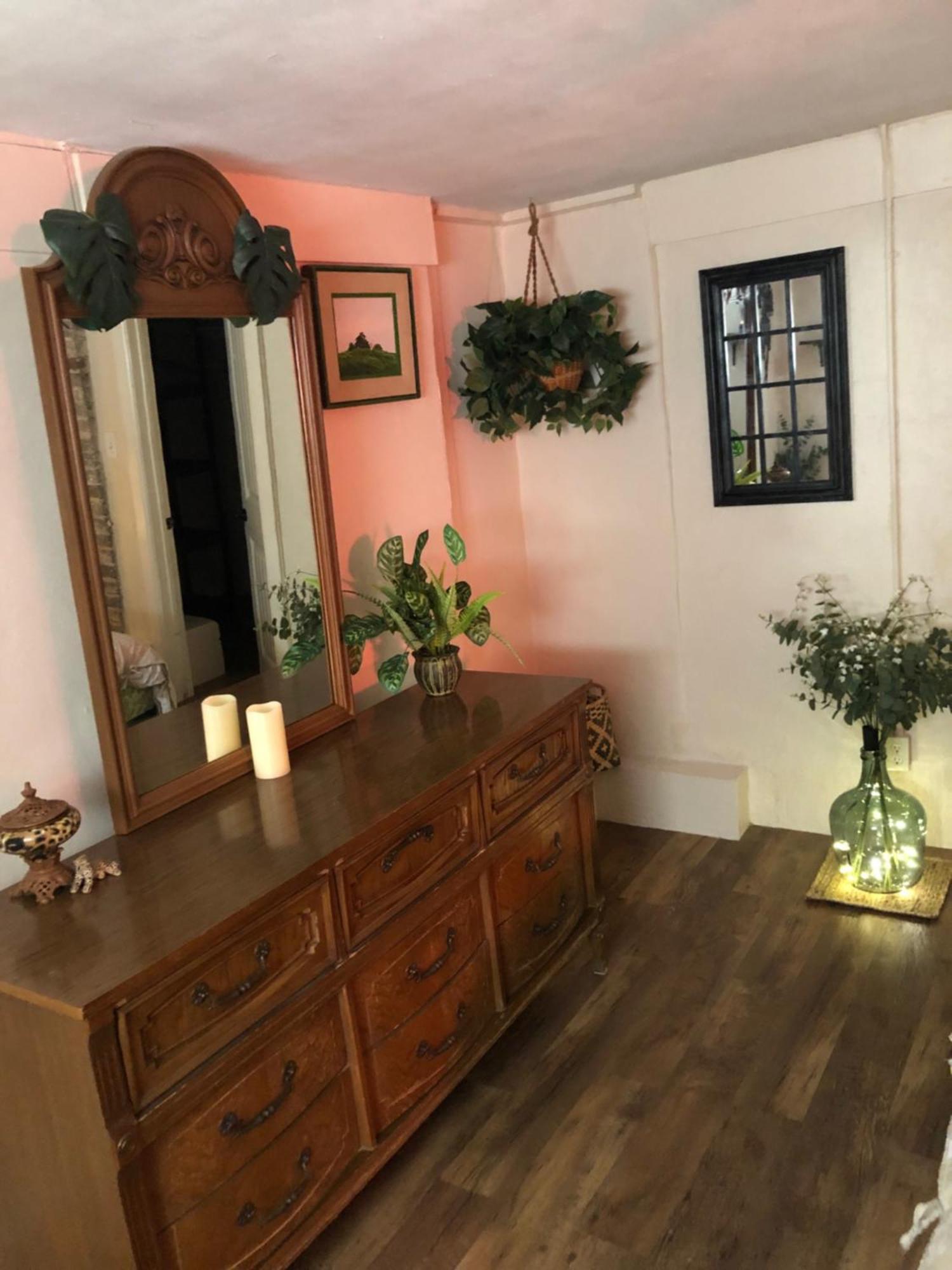 Jungle Theme * New Orleans