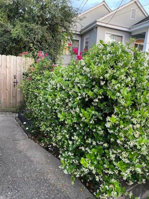 Walk To Jazz Fest From Garden Apartment