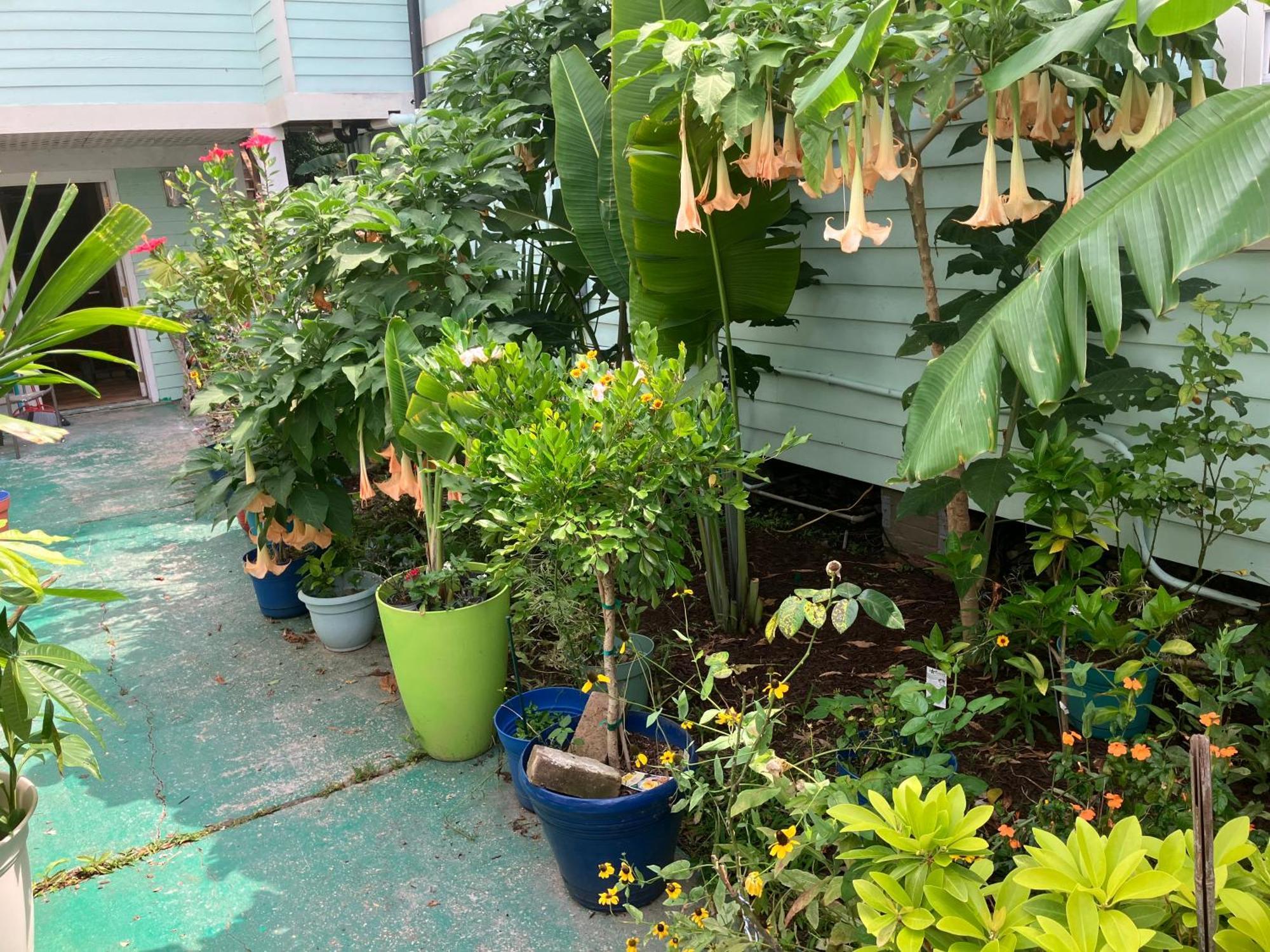 Garden View New Orleans