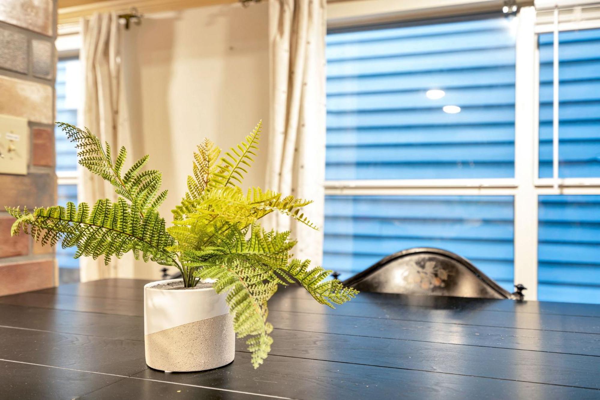 Cozy 3br In Bayou St John Apartment