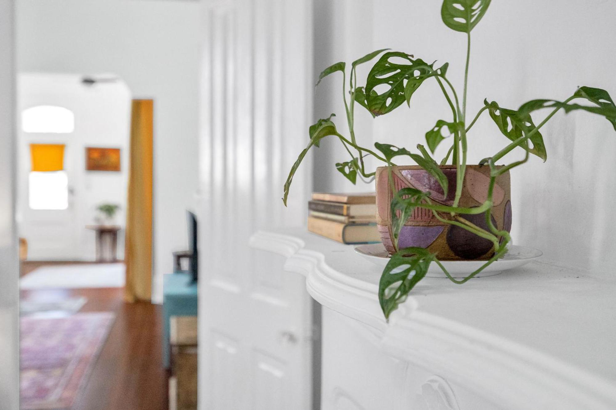 Apartment Classic Bywater Shotgun Great Location In