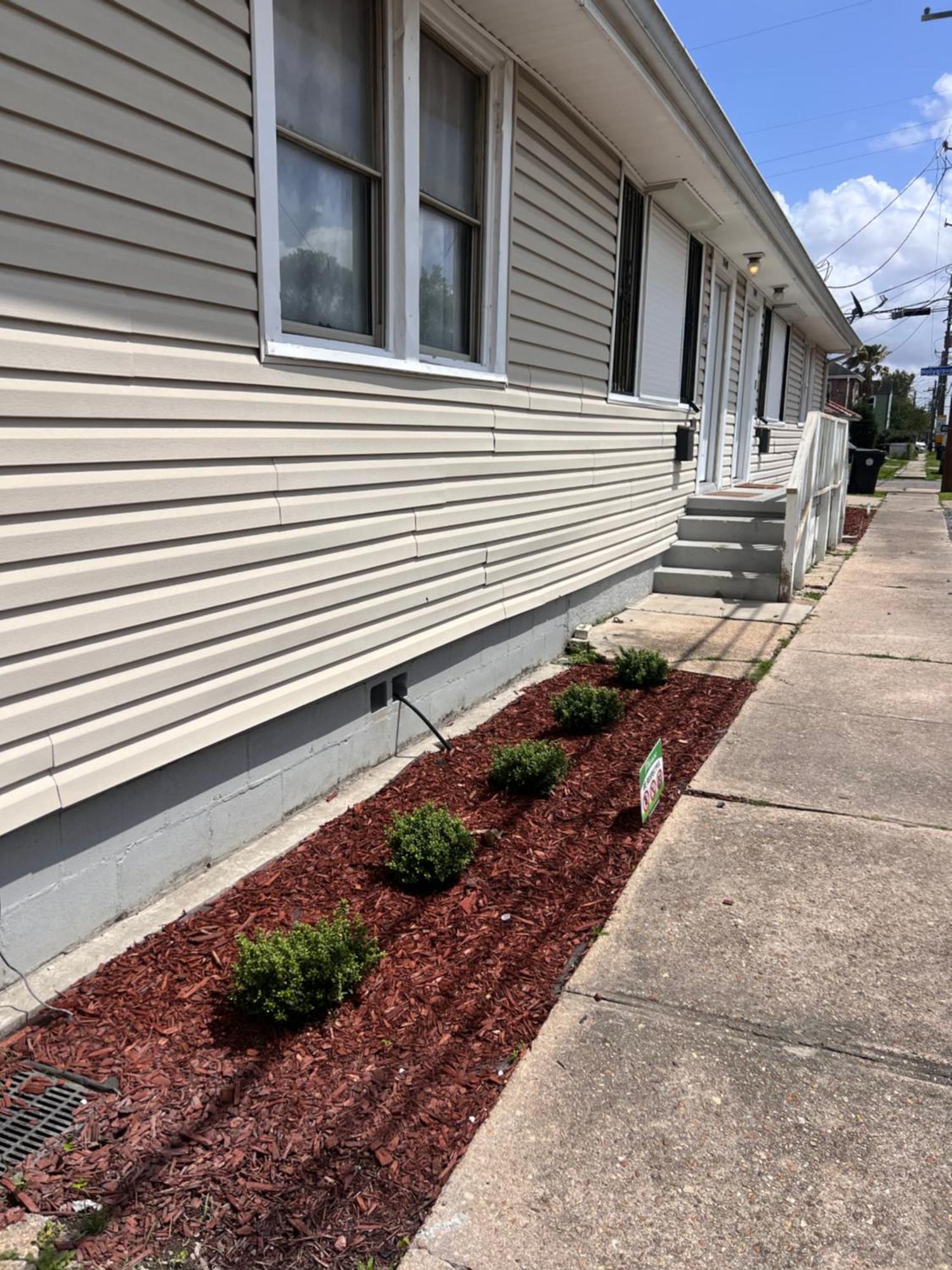 Simplicity Nola New Orleans