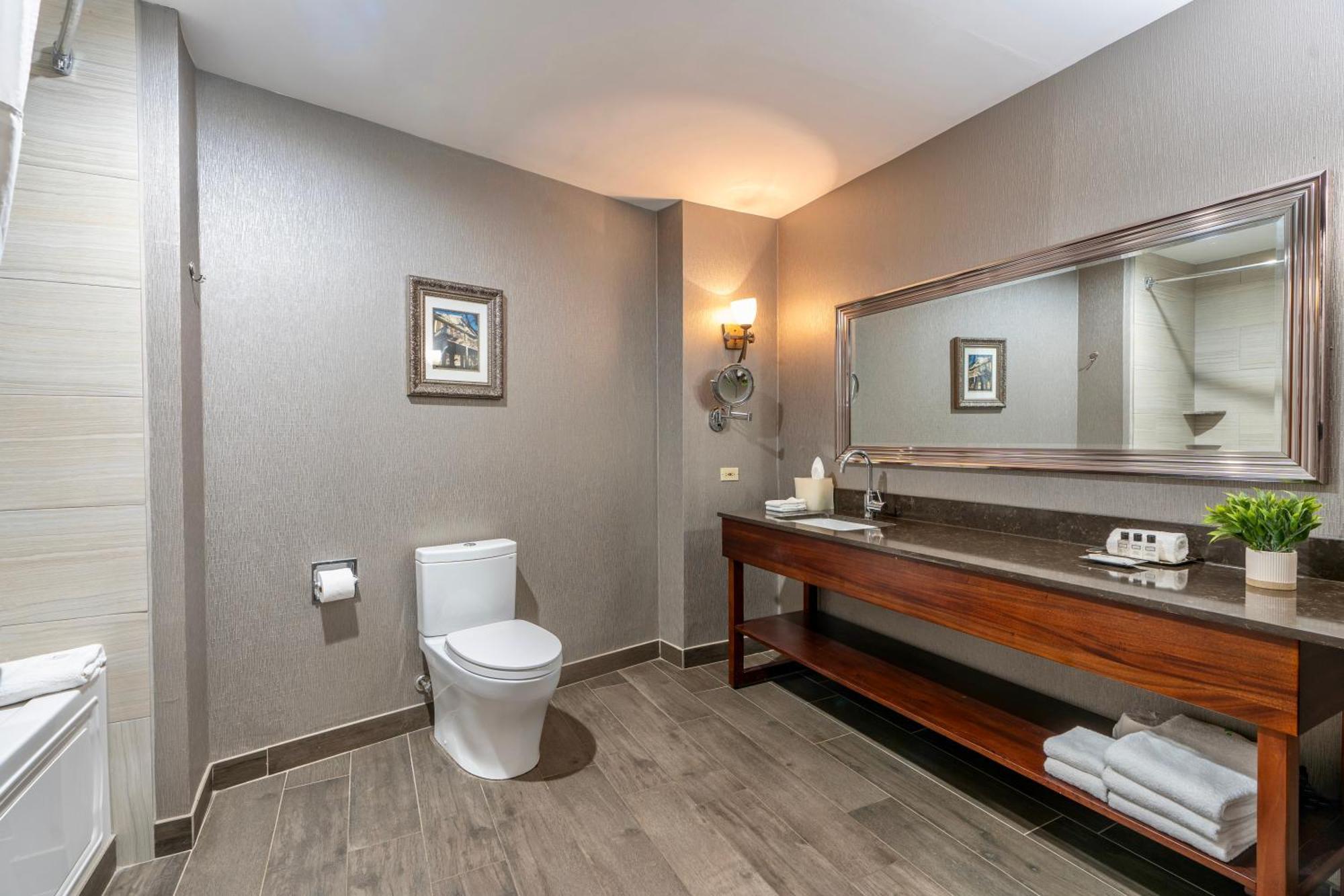 Hotel Wyndham Garden Baronne Plaza 3*