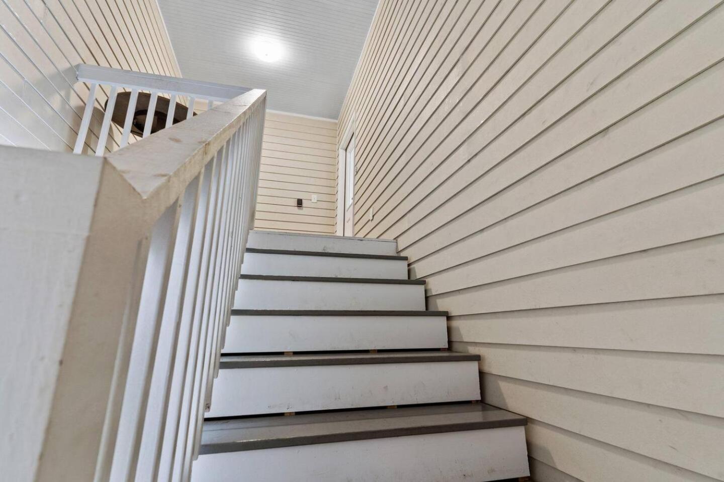 Pet-friendly Festival Season Getaway New Orleans