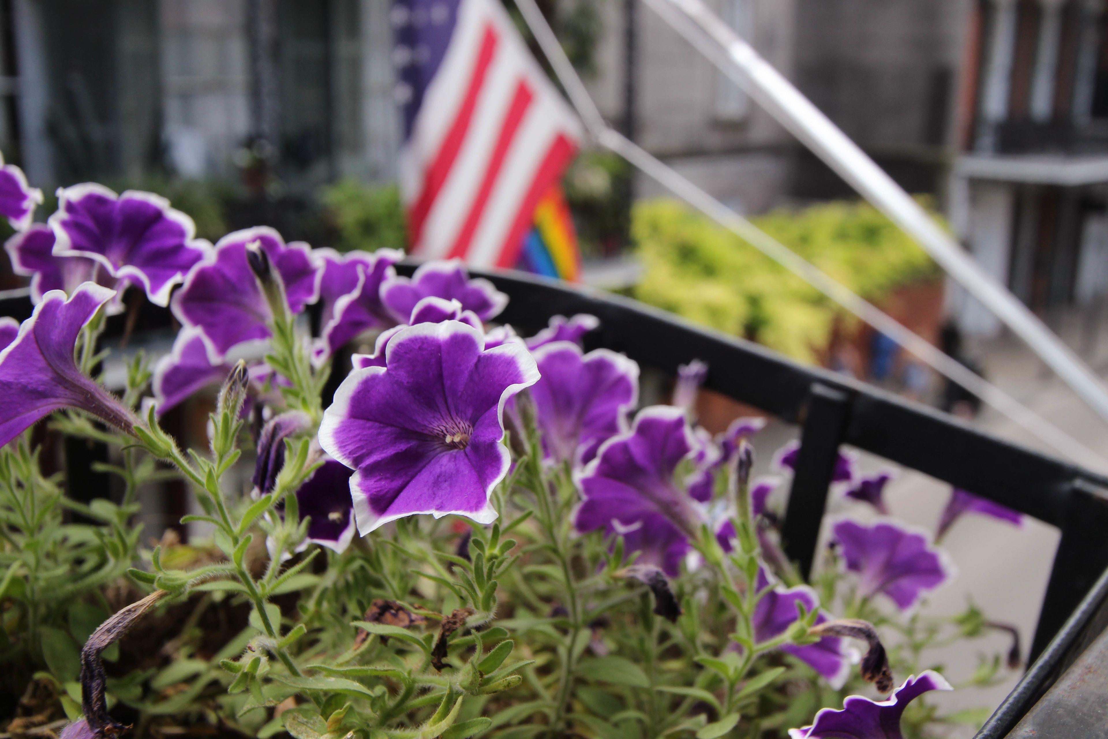 Andrew Jackson French Quarter 3* New Orleans