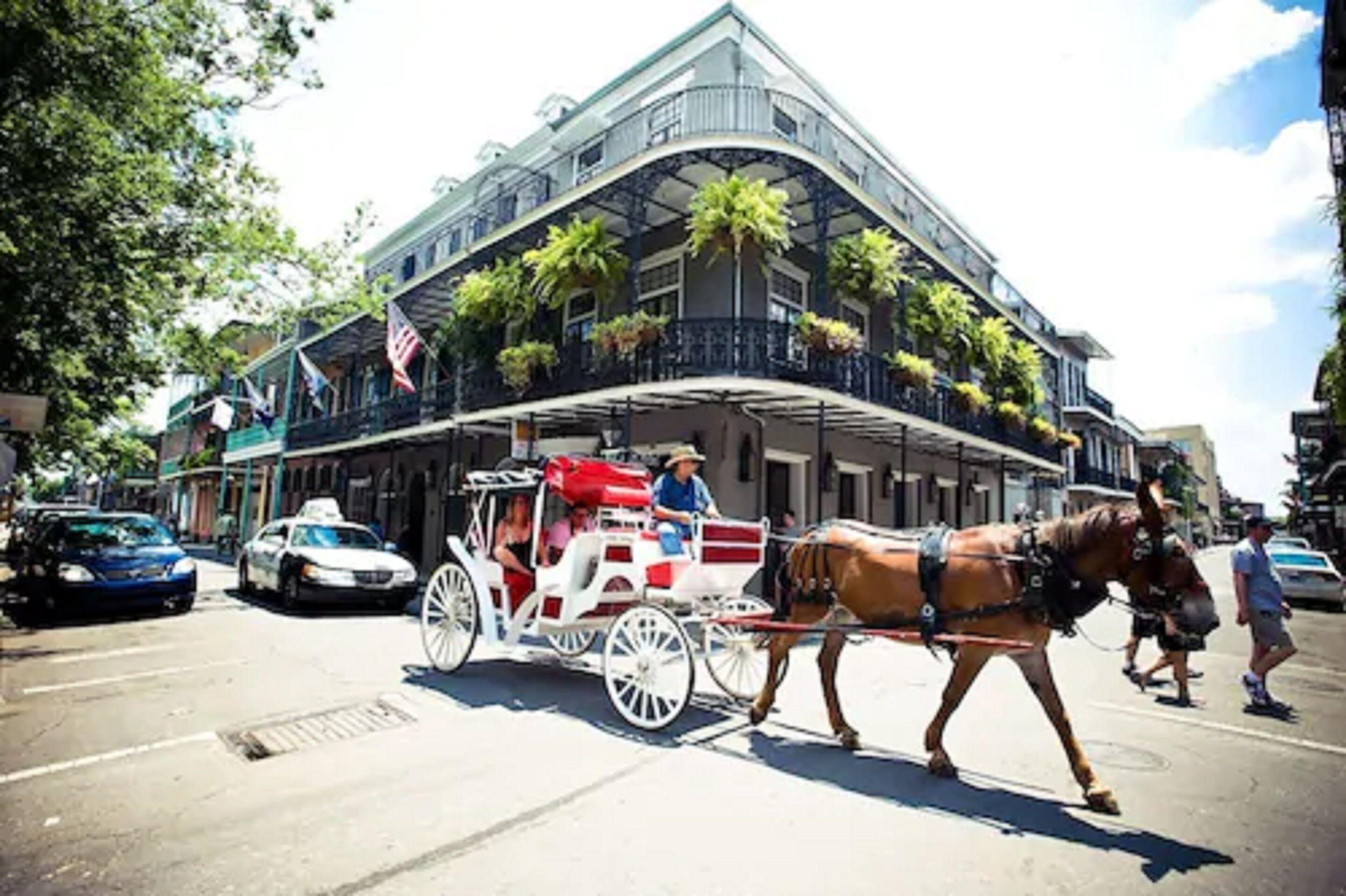 Hotel Royal New Orleans