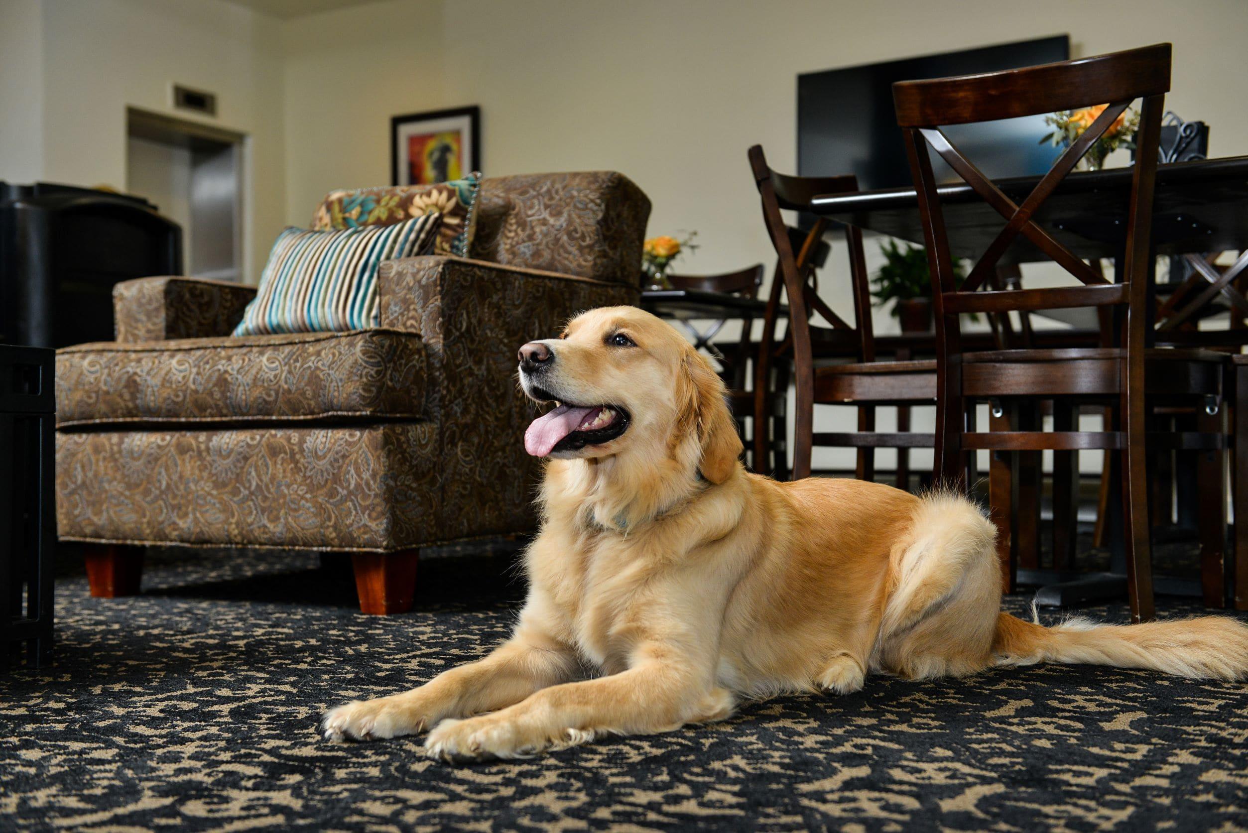 St Charles Inn, Superior 3* New Orleans