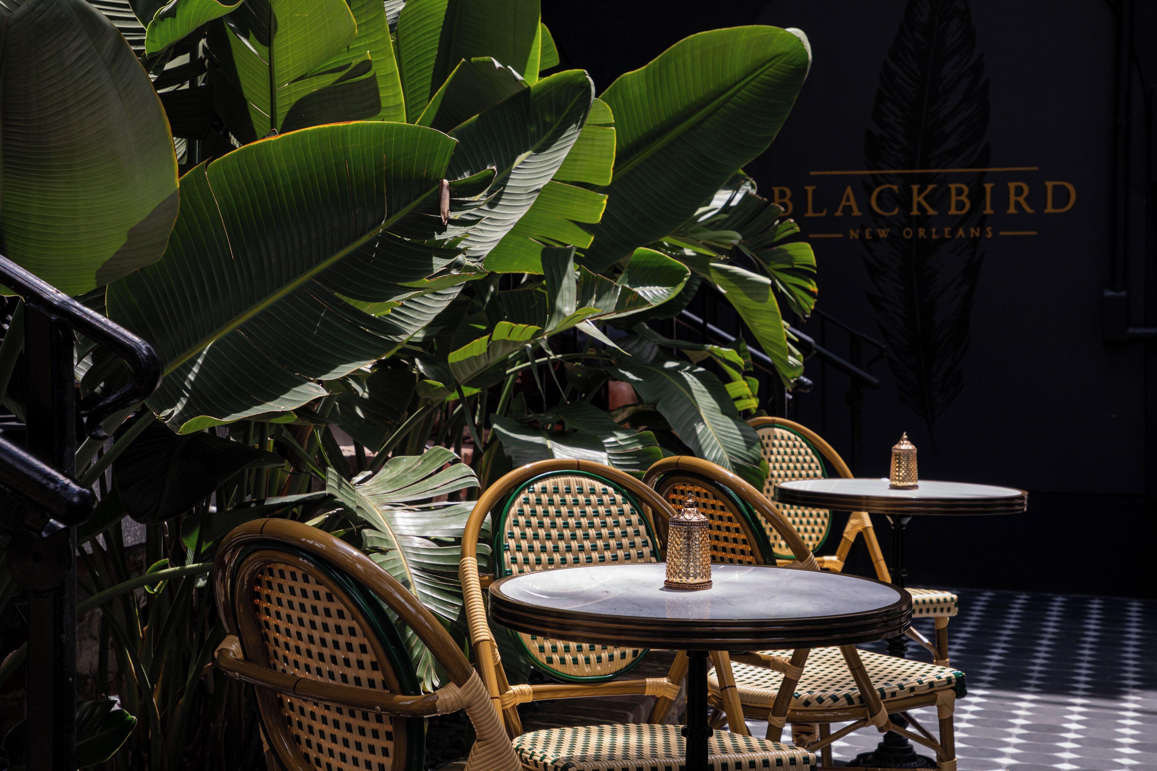 The Prytania Oaks 2*