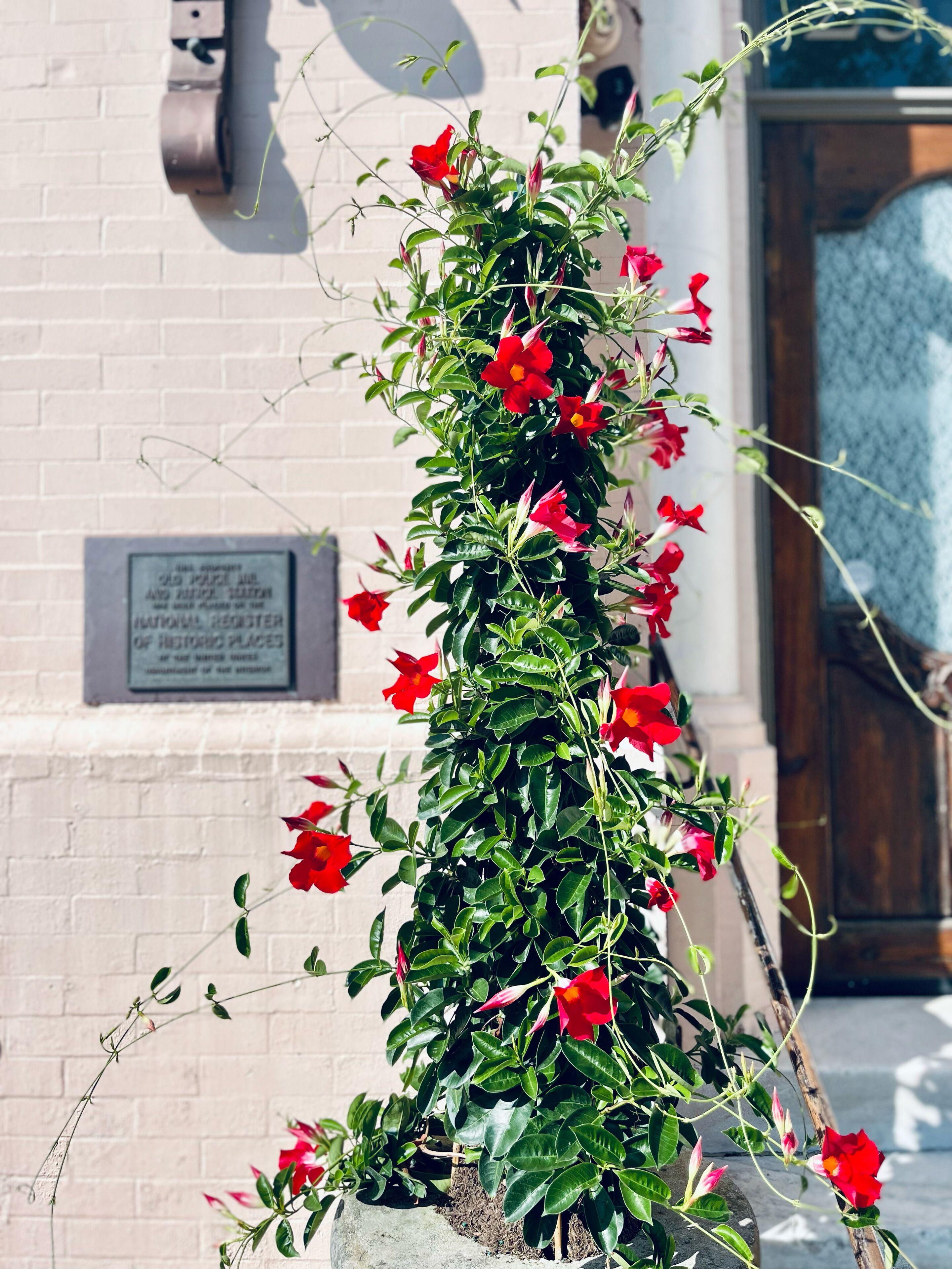 Bed & Breakfast At The Old Jail