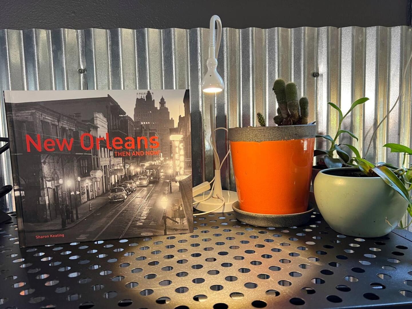 Hotel Algiers Point Near Ferry To French Q *