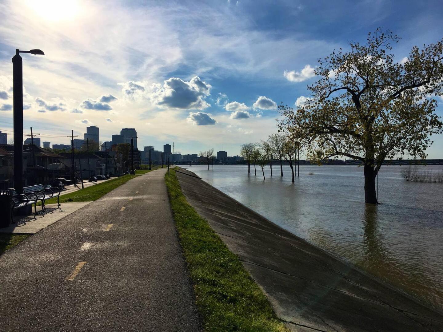 Algiers Point Near Ferry To French Q *