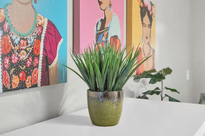 Mid-city Shotgun Streetcar Jazz Fest *