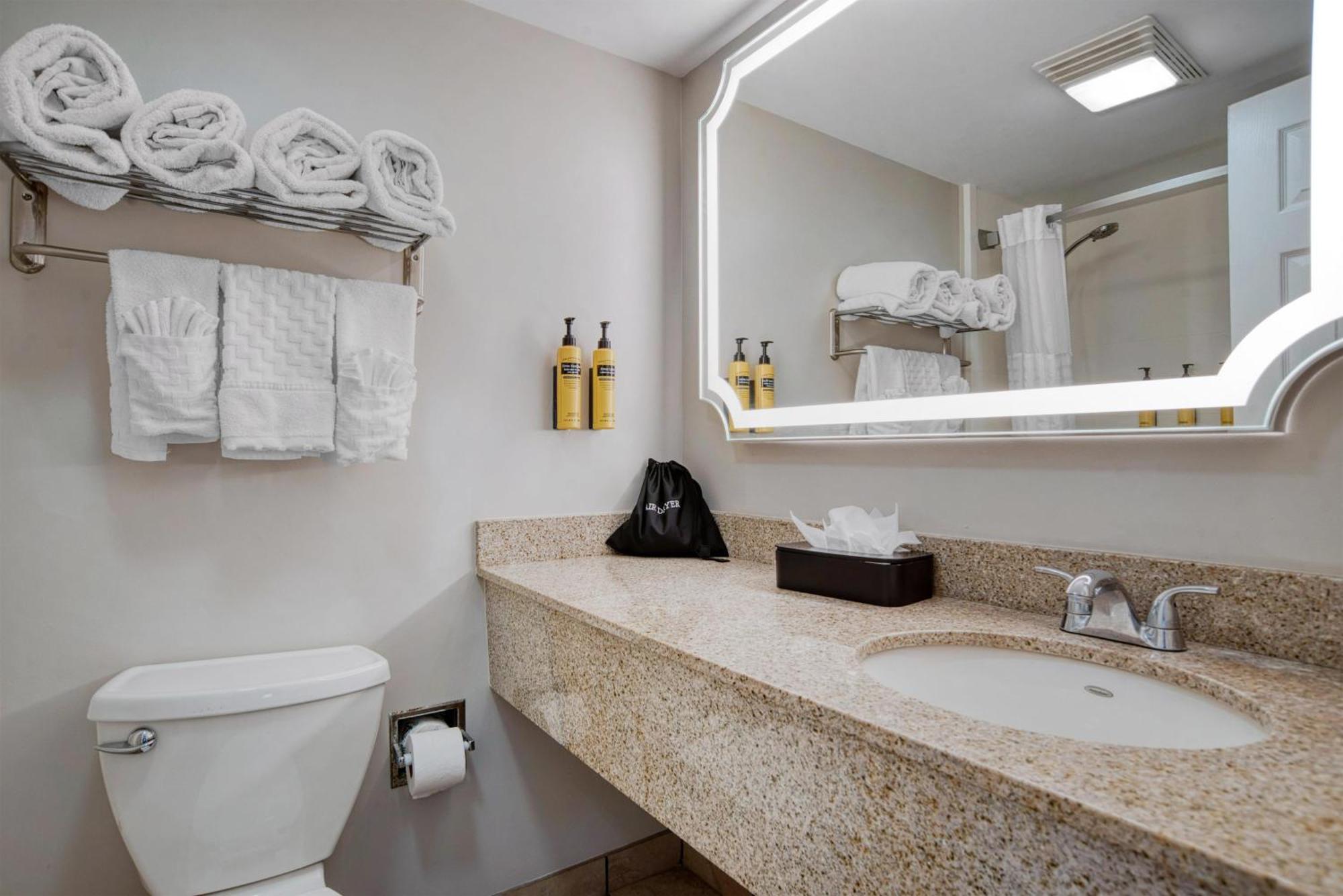 Hotel Western French Quarter Courtyard New Orleans