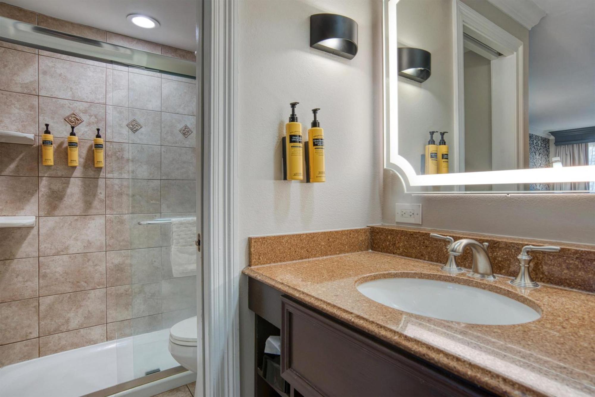 Western French Quarter Courtyard Hotel