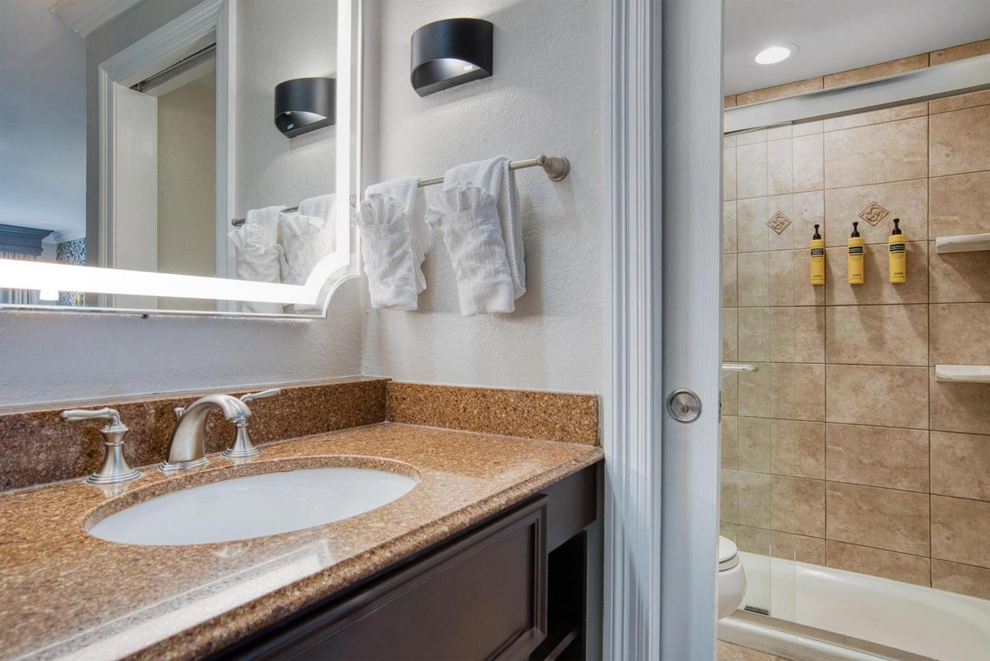 Western French Quarter Courtyard