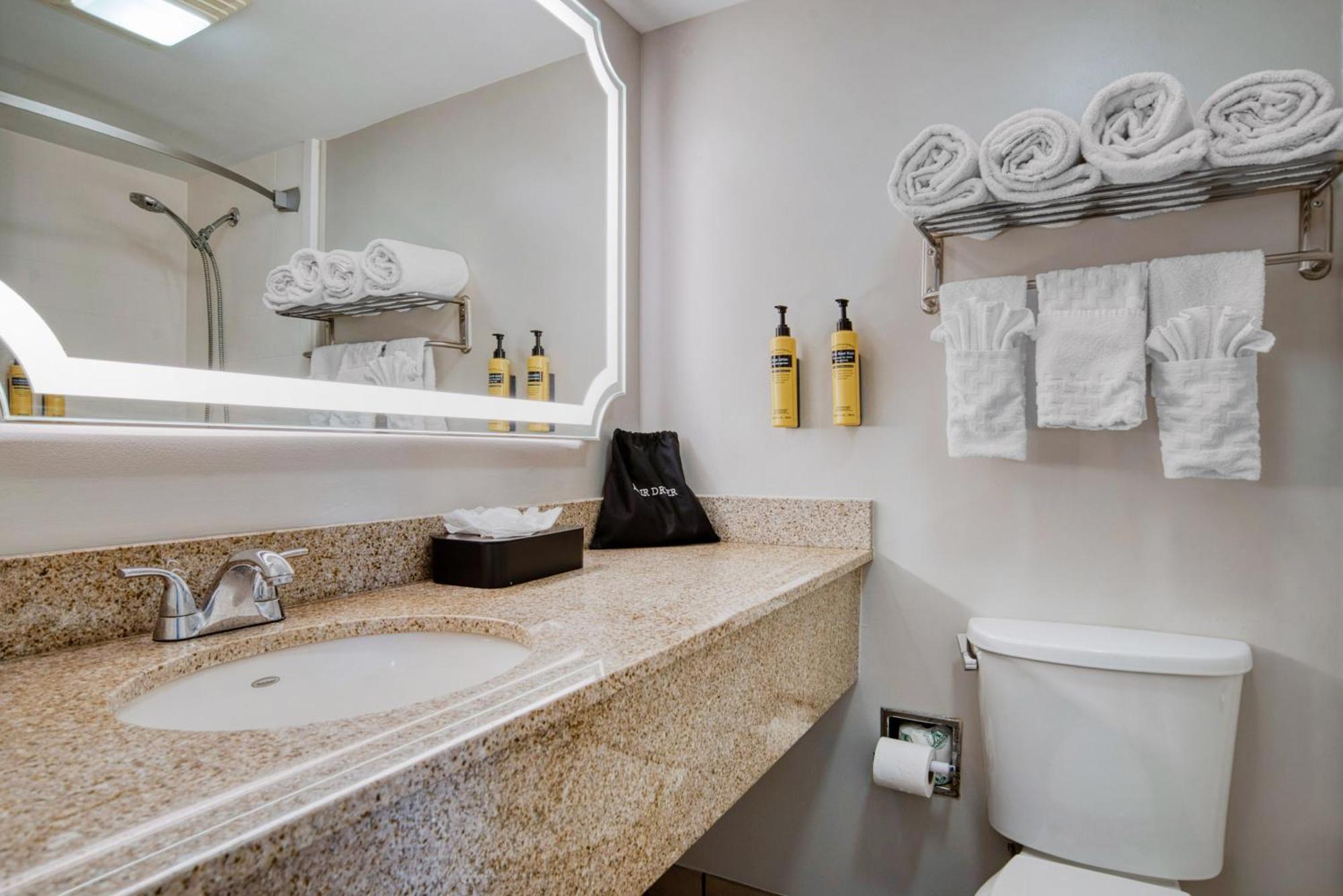 Hotel Western French Quarter Courtyard New Orleans