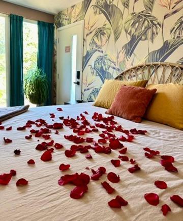 The Railyard Nola - Adult Only, Clothing Optional Pool *